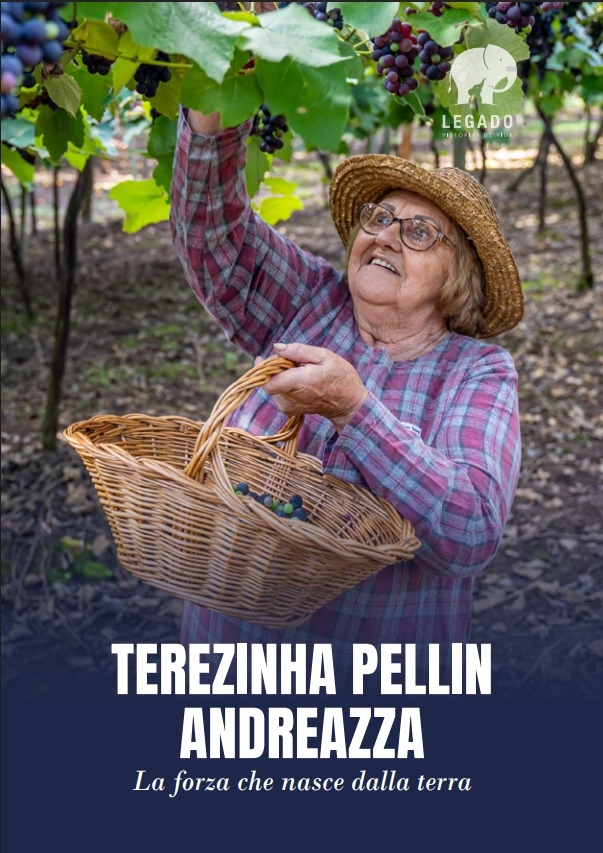 Terezinha Pellin Andreazza